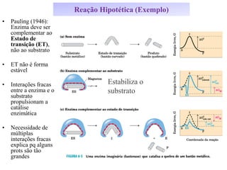 Reação Hipotética (Exemplo)
• Pauling (1946):
Enzima deve ser
complementar ao
Estado de
transição (ET),
não ao substrato
• ET não é forma
estável
• Interações fracas
entre a enzima e o
substrato
propulsionam a
catálise
enzimática
• Necessidade de
múltiplas
interações fracas
explica pq alguns
prots são tão
grandes
Estabiliza o
substrato
 