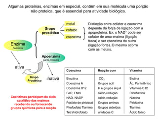Enzima
holozima
Apoenzima
parte proteica
Grupo
prostético
metal
coenzima
cofator
Coenzima Reação com Vitamina
Biocitina CO2 Biotina
Coenzima A Grupos acil Ác. Pantotênico
Coenzima B12 H e grupos alquil Vitamina B12
FAD, FMN óxido-redução Riboflavina
NAD, NADP óxido-redução Niacina
Fosfato de piridoxal Grupos aminos Piridoxina
Pirofosfato Tiamina Grupos aldeídos Tiamina
Tetrahidrofolato unidades C Ácido fólico
Algumas proteínas, enzimas em especial, contêm em sua molécula uma porção
não proteica, que é essencial para atividade biológica.
Distinção entre cofator e coenzima
depende da força de ligação com a
apoproteína. Ex: o NAD+ pode ser
cofator de uma enzima (ligação
fraca) e ser coenzima de outra
(ligação forte). O mesmo ocorre
com as metais.
ativa
inativaGrupo
Prostético
Coenzimas participam do ciclo
catalítico das enzimas
recebendo ou fornecendo
grupos químicos para a reação
 
