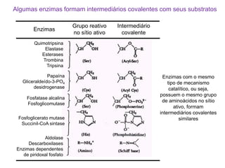 Algumas enzimas formam intermediários covalentes com seus substratos
Quimotripsina
Elastase
Esterases
Trombina
Tripsina
Papaína
Gliceraldeído-3-PO4
desidrogenase
Fosfatase alcalina
Fosfoglicomutase
Fosfoglicerato mutase
Succinil-CoA sintase
Aldolase
Descarboxilases
Enzimas dependentes
de piridoxal fosfato
Grupo reativo
no sítio ativo
Intermediário
covalente
Enzimas
Enzimas com o mesmo
tipo de mecanismo
catalítico, ou seja,
possuem o mesmo grupo
de aminoácidos no sítio
ativo, formam
intermediários covalentes
similares
 