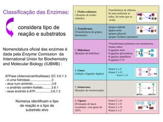 1. Óxido-redutases
( Reações de óxido-
redução).
Transferência de elétrons
Se uma molécula se
reduz, há outra que se
oxida.
2. Transferases
(Transferência de grupos
funcionais)
•grupos aldeído
•gupos acila
•grupos glucosil
•grupos fosfatos (quinases)
3. Hidrolases
(Reações de hidrólise)
•Transformam polímeros em monômeros.
Atuam sobre:
•Ligações éster
•Ligações glicosídicas
•Ligações peptídicas
•Ligações C-N
4. Liases
(Adição a ligações duplas)
•Entre C e C
•Entre C e O
•Entre C e N
5. Isomerases
(Reações de isomerização)
6. Ligases
(Formação de laços
covalentes com gasto de
ATP)
•Entre C e O
•Entre C e S
•Entre C e N
•Entre C e C
Classificação das Enzimas:
considera tipo de
reação e substratos
Nomenclatura oficial das enzimas é
dada pela Enzyme Comission da
International Union for Biochemistry
and Molecular Biology (IUBMB) :
ATPase (Adenosinatrifosfatase): EC 3.6.1.3
- é uma hidrolase.........................3
- atua num anidrido......................3.6
- o anidrido contém fosfato..........3.6.1
- esse anidrido é ATP..................3.6.1.3
Números identificam o tipo
de reação e o tipo de
substrato alvo
 