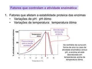 Fatores que controlam a atividade enzimática:
1. Fatores que afetam a estabilidade proteica das enzimas
• Variações de pH: pH ótimo
• Variações de temperatura: temperatura ótima
100-
50-
0-
%atividadeenzimáticamáxima
Temperatura
ótima
Desnaturação
térmica da
proteína
Pouca energia
para a reação
acontecer Ao contrário da curva em
forma de sino no caso da
atividade enzimática versus
pH, a enzima só está
desnaturada em
temperaturas acima da
temperatura ótima.
 