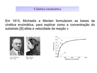 Em 1913, Michaelis e Menten formularam as bases da
cinética enzimática, para explicar como a concentração do
substrato [S] afeta a velocidade da reação v
Cinética enzimática
 