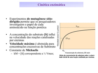 Cinética enzimática
• Experimentos de mutagênese sítio-
dirigida permite que os pesquisadores
investiguem o papel de cada
aminoácido na função protéica
• A concentração do substrato [S] influi
na velocidade das reações catalisadas
por enzimas
• Velocidade máxima é abstraída para
concentrações excessivas de Substrato
• Constante de Michaelis
– kM = [S] correspondente a ½ Vmax;
 