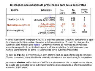 Enzima Substratos kcat
(seg-1)
KM
(mM)
Razão
kcat/ KM
Tripsina (pH 7.5)
Quimotripsina (pH 7.9)
Elastase (pH 8.0)
Z-Lys-OMe
Z-(Ala)2-Tyr-Lys-OMe
Z-Tyr-Gly-OMe
Z-(Ala)2-Ala-OMe
Z-Ala-OMe
Z-(Ala)2-Ala-OMe
101
106
0.6
10
6.7
73
0.23
0.08
23
2
153
0.43
1
3
1
190
1
3900
Interações secundárias de proteinases com seus substratos
A tabela ilustra como interpretar Kcat, KM e eficiência catalítica (kcat/KM), comparando a ação
de enzimas proteolíticas sobre diferentes substratos sintéticos. O ponto de clivagem dos
substratos está indicado pela flecha. Conforme o número de resíduos de aminoácidos
aumenta à esquerda do ponto de clivagem, a eficiência catalítica (kcat/KM) das enzimas
melhora (considerando-se como 1 o valor obtido com o substrato mais curto).
No caso da tripsina, o Km diminue 3X, sem alterar o kcat, ou seja a formação do complexo
ES com o substrato maior é facilitado, mas não foi afetada a sua transformação em produto.
No caso da elastase, o Km diminue ~300 X e o kcat aumenta ~10x, ou seja todas as etapas
da reação são facilitadas com o substrato mais longo.Como resultado, a eficiência catalítica
aumentou 3.900 vezes.
 