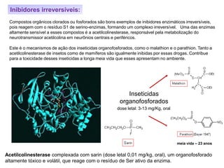 Inibidores irreversíveis:
Compostos orgânicos clorados ou fosforados são bons exemplos de inibidores enzimáticos irreversíveis,
pois reagem com o resíduo S1 de serino-enzimas, formando um complexo irreversível. Uma das enzimas
altamente sensível a esses compostos é a acetilcolinesterase, responsável pela metabolização do
neurotransmissor acetilcolina em neurônios centrais e periféricos.
Este é o mecanismos de ação dos inseticidas organofosforados, como o malathion e o parathion. Tanto a
acetilcolinesterase de insetos como de mamíferos são igualmente inibidas por essas drogas. Contribue
para a toxicidade desses inseticidas a longa meia vida que esses apresentam no ambiente.
Acetilcolinesterase complexada com sarin (dose letal 0,01 mg/kg, oral), um organofosforado
altamente tóxico e volátil, que reage com o resíduo de Ser ativo da enzima.
dose letal: 3-13 mg/Kg, oral
Inseticidas
organofosforados
meia vida – 23 anos
 
