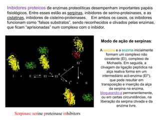Serpinas: serine proteinase inhibitors
Modo de ação de serpinas:
A serpina e a enzima inicialmente
formam um complexo não
covalente (EI), complexo de
Michaelis. Em seguida, a
clivagem da ligação peptídica na
alça reativa forma em um
intermediário acil-enzima (EI*),
que pode resultar em
transposição e inserção da alça
da serpina na enzima,
bloqueando-a permanentemente,
ou em certas circunstâncias, na
liberação da serpina clivada e da
enzima livre.
Inibidores proteicos de enzimas proteolíticas desempenham importantes papéis
fisiológicos. Entre esses estão as serpinas, inibidores de serino-proteinases, e as
cistatinas, inibidores de cisteíno-proteinases. Em ambos os casos, os inibidores
funcionam como “falsos substratos”, sendo reconhecidos e clivados pelas enzimas,
que ficam “aprisionadas” num complexo com o inibidor.
 