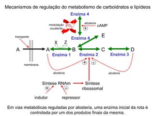 transporte
A A B C D
Enzima 2Enzima 1 Enzima 3
+ -
alosteria alosteria
membrana
X Z
Enzima 4
E
Enzima 4
+
cAMP
alosteria
PO4
modulação
covalente
Síntese
ribossomal
Síntese RNAm
indutor repressor
+ -
Mecanismos de regulação do metabolismo de carboidratos e lipídeos
Em vias metabólicas reguladas por alosteria, uma enzima inicial da rota é
controlada por um dos produtos finais da mesma.
 