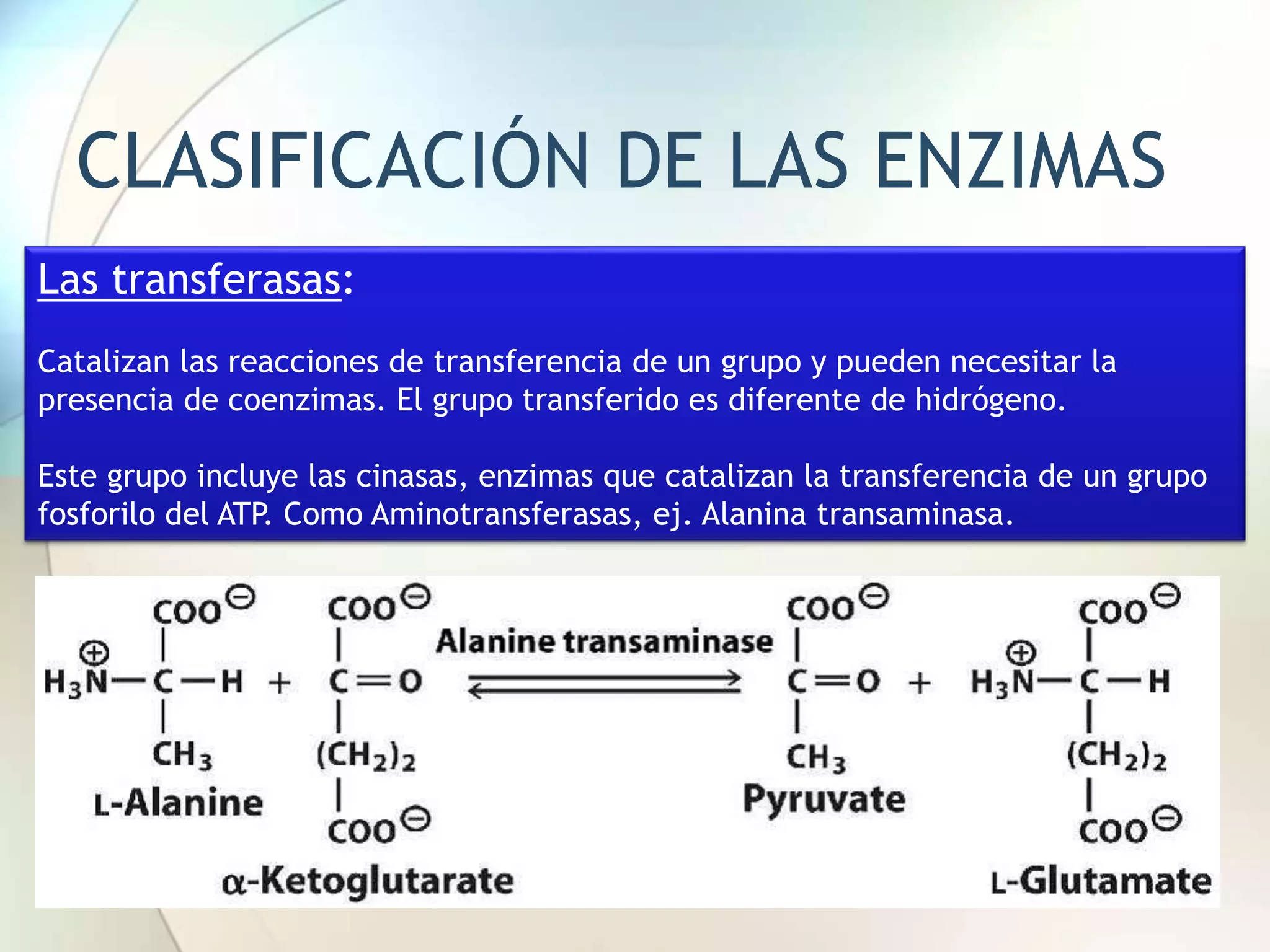 enzimas-ppt