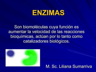 ENZIMAS
Son biomoléculas cuya función es
aumentar la velocidad de las reacciones
bioquímicas, actúan por lo tanto como
catalizadores biológicos.
M. Sc. Liliana Sumarriva
 