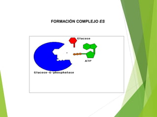 FORMACIÓN COMPLEJO ES
 