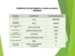 NÚMEROS DE RECAMBIO K3 PARA ALGUNAS
ENZIMAS
ENZIMA SUSTRATO K3(POR SEGUNDO)
CATALASA
H2O2 40000000
ANHIDRASA
CARBÓNICA HCO3 400000
ACETILCOLINESTER
ASA ACETILCOLINA 25000
PENICILINASA
BENCILPENICILINA 2000
LACTATO
DESHIDROGENASA LACTATO 1000
QUIMOTRIPSINA
GLICILTIROSINGLICINA 100
DNA POLIMERASA
DNA 15
TRIPTÓFANO
SINTETASA
INDOL 3 GLICEROL
FOSFATO
2
 