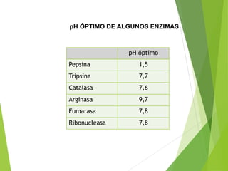 pH ÓPTIMO DE ALGUNOS ENZIMAS
pH óptimo
Pepsina 1,5
Tripsina 7,7
Catalasa 7,6
Arginasa 9,7
Fumarasa 7,8
Ribonucleasa 7,8
 