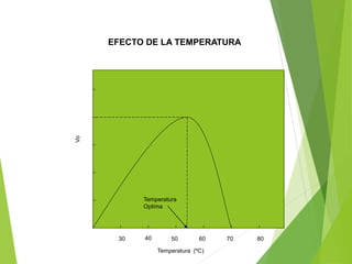 EFECTO DE LA TEMPERATURA
Temperatura
Optima
Temperatura (ºC)
30 40 50 60 70 80
 