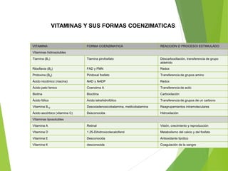 VITAMINAS Y SUS FORMAS COENZIMATICAS
VITAMINA FORMA COENZIMATICA REACCIÓN O PROCESOI ESTIMULADO
Vitaminas hidrosolubles
Tiamina (B1) Tiamina pirofosfato Descarboxiliación, transferencia de grupo
aldehído
Riboflavia (B2) FAD y FMN Redox
Pridoxina (B6) Piridoxal fosfato Transferencia de grupos amino
Ácido nicotínico (niacina) NAD y NADP Redox
Ácido pato´tenico Coenzima A Transferencia de acilo
Biotina Biocitina Carboxilación
Ácido fólico Ácido tetrahidrofólico Transferencia de grupos de un carbono
Vitamina B12 Desoxiadenosicobalamina, metilcobalamina Reagrupamientos intramoleculares
Ácido ascórbico (vitamina C) Desconocida Hidroxilación
Vitaminas liposolubles
Vitamina A Retinal Visión, crecimiento y reproducción
Vitamina D 1.25-Dihidroxicolecalciferol Metabolismo del calcio y del fosfato
Vitamina E Desconocida Antioxidante lipídico
Vitamina K desconocida Coagulación de la sangre
 