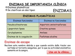 ENZIMAS
Enzimas de escape
Reciben este nombre debido a que cuando existe daño tisular son
vertidas al torrente sanguíneo, por lo que su actividad enzimática
aumenta en la sangre.
ENZIMAS DE IMPORTANCIA CLÍNICA:
❄Enzimas plasmáticas
❄Se clasifican en dos tipos:
ENZIMAS PLASMÁTICAS
Enzimas funcionales Enzimas no funcionales
Pseudocolinesterasa Aspartato aminotrasferasa
Lipoprotein lipasa Creatina quinasa
Ceruloplasmina Amilasa
Enzimas de la coagulación Fosfatasa alcalina
Uso en la clínica.
 