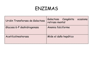 ENZIMAS
Uridin Transferasa de Galactosa
Galactosa Congénita ocasiona
retraso mental
Glucosa 6-P deshidrogenasa Anemia falciforme
Acetilcolinesterasa Mide el daño hepático
 