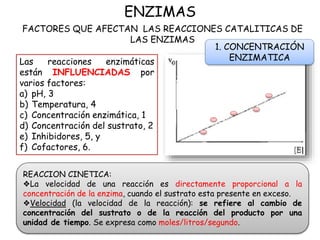 ENZIMAS
FACTORES QUE AFECTAN LAS REACCIONES CATALITICAS DE
LAS ENZIMAS
Las reacciones enzimáticas
están INFLUENCIADAS por
varios factores:
a) pH, 3
b) Temperatura, 4
c) Concentración enzimática, 1
d) Concentración del sustrato, 2
e) Inhibidores, 5, y
f) Cofactores, 6.
REACCION CINETICA:
❖La velocidad de una reacción es directamente proporcional a la
concentración de la enzima, cuando el sustrato esta presente en exceso.
❖Velocidad (la velocidad de la reacción): se refiere al cambio de
concentración del sustrato o de la reacción del producto por una
unidad de tiempo. Se expresa como moles/litros/segundo.
1. CONCENTRACIÓN
ENZIMATICA
 