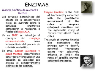 ENZIMAS
Modelo Cinético de Michaelis -
Menten
Los estudios sistemáticos del
efecto de la concentración
inicial del sustrato sobre la
actividad enzimática
comenzaron a realizarse a
finales del siglo XIX.
Ya en 1882 se introdujo el
concepto del complejo
enzima-sustrato como
intermediario del proceso de
catálisis enzimática.
En 1913, Leonor Michaelis y
Maud Menten desarrollaron
esta teoría y propusieron una
ecuación de velocidad que
explica el comportamiento
cinético de los enzimas.
Enzyme kinetics is the field
of biochemistry concerned
with the quantitative
measurement of the
rates of enzyme-
catalyzed reactions and
the systematic study of
factors that affect these
rates.
The study of enzyme kinetics
also represents the
principal way to identify
potential therapeutic
agents that selectively
enhance or inhibit the
rates of specific enzyme-
catalyzed processes.
 