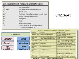 ENZIMAS
Coenzima
Cofactor
Coenzima
Gpo.
prostético
Unión
covalente
Vitaminas
Iones
 