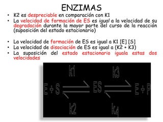 ENZIMAS
• K2 es despreciable en comparación con K1
• La velocidad de formación de ES es igual a la velocidad de su
degradación durante la mayor parte del curso de la reacción
(suposición del estado estacionario)
• La velocidad de formación de ES es igual a K1 [E] [S]
• La velocidad de disociación de ES es igual a (K2 + K3)
• La suposición del estado estacionario iguala estas dos
velocidades
 