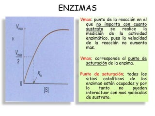ENZIMAS
Vmax: punto de la reacción en el
que no importa con cuanto
sustrato se realice la
medición de la actividad
enzimático, pues la velocidad
de la reacción no aumenta
mas.
Vmax; corresponde al punto de
saturación de la enzima.
Punto de saturación; todos los
sitios catalíticos de las
enzimas están ocupados y por
lo tanto no pueden
interactuar con mas moléculas
de sustrato.
 