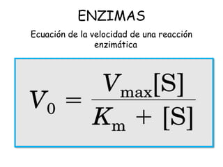 ENZIMAS
Ecuación de la velocidad de una reacción
enzimática
 