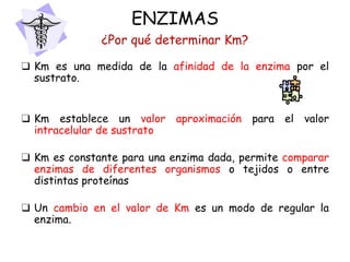 ENZIMAS
¿Por qué determinar Km?
❑ Km es una medida de la afinidad de la enzima por el
sustrato.
❑ Km establece un valor aproximación para el valor
intracelular de sustrato
❑ Km es constante para una enzima dada, permite comparar
enzimas de diferentes organismos o tejidos o entre
distintas proteínas
❑ Un cambio en el valor de Km es un modo de regular la
enzima.
 