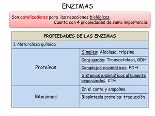 ENZIMAS
Son catalizadores para las reacciones biológicas.
Cuenta con 4 propiedades de suma importancia:
PROPIEDADES DE LAS ENZIMAS
1. Naturaleza química
Proteínas
Simples: Aldolasa, tripsina
Conjugadas: Transcetolasa, GDH
Complejos enzimáticos: PDH
Sistemas enzimáticos altamente
organizados: CTE
Ribozimas
En el corte y empalme
Biosíntesis proteica: traducción
 