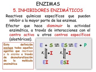 ENZIMAS
5. INHIBIDORES ENZIMÁTICOS
Reactivos químicos específicos que pueden
inhibir a la mayor parte de las enzimas.
Efector que hace disminuir la actividad
enzimática, a través de interacciones con el
centro activo u otros centros específicos
(alostéricos).
Esta definición
excluye todos aquellos
agentes que inactivan
a la enzima a través
de desnaturalización
de la molécula
enzimática
 