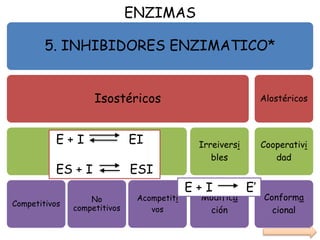 ENZIMAS
5. INHIBIDORES ENZIMATICO*
Isostéricos
Reversibles
Competitivos
No
competitivos
Acompetiti
vos
Irreiversi
bles
Modifica
ción
Alostéricos
Cooperativi
dad
Conforma
cional
E + I E’
E + I EI
ES + I ESI
 