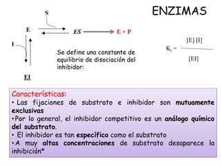 ENZIMAS
Características:
• Las fijaciones de substrato e inhibidor son mutuamente
exclusivas
• Por lo general, el inhibidor competitivo es un análogo químico
del substrato.
• El inhibidor es tan específico como el substrato
• A muy altas concentraciones de substrato desaparece la
inhibición*
Ki =
[E] [I]
[EI]
S
E ES E + P
I
EI
Se define una constante de
equilibrio de disociación del
inhibidor:
 
