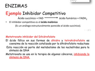 ENZIMAS
Ejemplo Inhibidor Competitivo
Ácido succínico + FAD ácido fumárico + FADH2
• El inhibidor competitivo es el ácido malónico
(Es un análogo estructuralmente parecido al ácido succínico).
Metotrexato inhibidor del Dihidrofolato
El ácido fólico en sus formas de dihidro y tetrahidrofolato es
coenzima de la reacción catalizada por la dihidrofolato reductasa
Esta reacción es parte del metabolismo de los nucleótidos para la
síntesis de DNA
Metotrexato se usa en la terapia de algunos cánceres, inhibiendo la
síntesis de DNA.
 