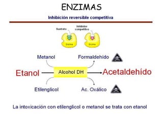 ENZIMAS
 