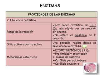 ENZIMAS
PROPIEDADES DE LAS ENZIMAS
2. Eficiencia catalítica
Rango de la reacción
✓Alto poder catalítico, de 103 a
1017 más rápido que un reacción
sin enzima.
✓No altera el equilibrio de la
reacción.
Sitio activo o centro activo
Una pequeña región donde se
lleva acabo la catálisis.
Mecanismos catalíticos
➢DISMINUCIÓN DE LA Ea
➢Proximidad y orientación
➢Trazas de sustrato
➢Catálisis por acido-base
➢Catálisis covalente
 