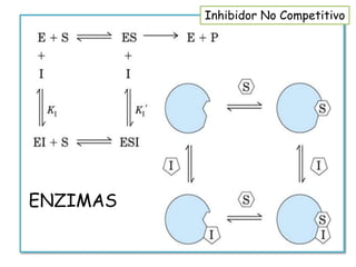 ENZIMAS
Inhibidor No Competitivo
 