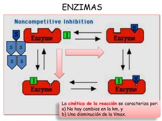 ENZIMAS
S S
S S
La cinética de la reacción se caracteriza por:
a) No hay cambios en la km, y
b) Una disminución de la Vmax.
 