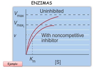 ENZIMAS
Ejemplo:
 