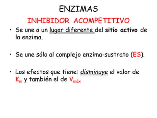 ENZIMAS
INHIBIDOR ACOMPETITIVO
• Se une a un lugar diferente del sitio activo de
la enzima.
• Se une sólo al complejo enzima-sustrato (ES).
• Los efectos que tiene: disminuye el valor de
Km y también el de Vmáx
 