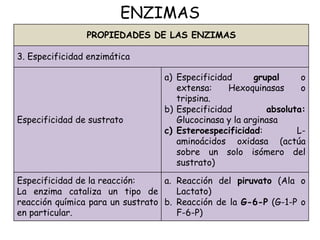 ENZIMAS
PROPIEDADES DE LAS ENZIMAS
3. Especificidad enzimática
Especificidad de sustrato
a) Especificidad grupal o
extensa: Hexoquinasas o
tripsina.
b) Especificidad absoluta:
Glucocinasa y la arginasa
c) Esteroespecificidad: L-
aminoácidos oxidasa (actúa
sobre un solo isómero del
sustrato)
Especificidad de la reacción:
La enzima cataliza un tipo de
reacción química para un sustrato
en particular.
a. Reacción del piruvato (Ala o
Lactato)
b. Reacción de la G-6-P (G-1-P o
F-6-P)
 