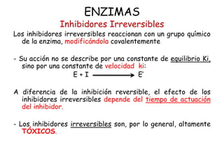 ENZIMAS
Inhibidores Irreversibles
Los inhibidores irreversibles reaccionan con un grupo químico
de la enzima, modificándola covalentemente
- Su acción no se describe por una constante de equilibrio Ki,
sino por una constante de velocidad ki:
E + I E’
A diferencia de la inhibición reversible, el efecto de los
inhibidores irreversibles depende del tiempo de actuación
del inhibidor.
- Los inhibidores irreversibles son, por lo general, altamente
TÓXICOS.
 
