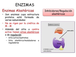 ENZIMAS
Enzimas Alostéricas
• Son enzimas cuya estructura
proteíca está formada de
varias subunidades
• No se rigen por la cinética de
M - M
• Además del sitio o centro
activo tienen sitios alostéricos
o de regulación
• Sitio activo/sustratos;
• Sitio alostérico/moduladores o
reguladores
Inhibidores/Regulación
alostéricos
 