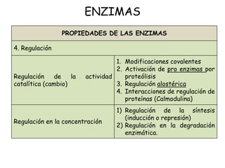 ENZIMAS
PROPIEDADES DE LAS ENZIMAS
4. Regulación
Regulación de la actividad
catalítica (cambio)
1. Modificaciones covalentes
2. Activación de pro enzimas por
proteólisis
3. Regulación alostérica
4. Interacciones de regulación de
proteínas (Calmodulina)
Regulación en la concentración
1) Regulación de la síntesis
(inducción o represión)
2) Regulación en la degradación
enzimática.
 