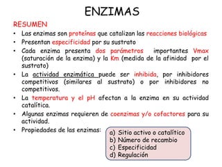 ENZIMAS
RESUMEN
• Las enzimas son proteínas que catalizan las reacciones biológicas
• Presentan especificidad por su sustrato
• Cada enzima presenta dos parámetros importantes Vmax
(saturación de la enzima) y la Km (medida de la afinidad por el
sustrato)
• La actividad enzimática puede ser inhibida, por inhibidores
competitivos (similares al sustrato) o por inhibidores no
competitivos.
• La temperatura y el pH afectan a la enzima en su actividad
catalítica.
• Algunas enzimas requieren de coenzimas y/o cofactores para su
actividad.
• Propiedades de las enzimas: a) Sitio activo o catalítico
b) Número de recambio
c) Especificidad
d) Regulación
 