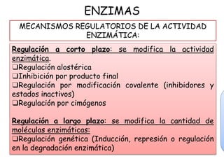 ENZIMAS
Regulación a corto plazo: se modifica la actividad
enzimática.
❑Regulación alostérica
❑Inhibición por producto final
❑Regulación por modificación covalente (inhibidores y
estados inactivos)
❑Regulación por cimógenos
Regulación a largo plazo: se modifica la cantidad de
moléculas enzimáticas:
❑Regulación genética (Inducción, represión o regulación
en la degradación enzimática)
MECANISMOS REGULATORIOS DE LA ACTIVIDAD
ENZIMÁTICA:
 