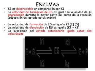 ENZIMAS
• K2 es despreciable en comparación con K1
• La velocidad de formación de ES es igual a la velocidad de su
degrada...
