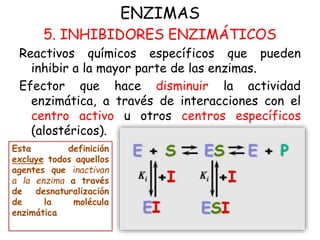 ENZIMAS
5. INHIBIDORES ENZIMÁTICOS
Reactivos químicos específicos que pueden
inhibir a la mayor parte de las enzimas.
Efec...