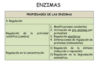 ENZIMAS
PROPIEDADES DE LAS ENZIMAS
4. Regulación
Regulación de la actividad
catalítica (cambio)
1. Modificaciones covalent...