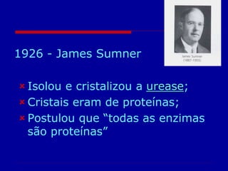 1926 - James Sumner
 Isolou e cristalizou a urease;
 Cristais eram de proteínas;
 Postulou que “todas as enzimas
são proteínas”
 