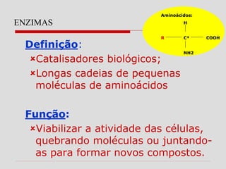 ENZIMAS
Definição:
Catalisadores biológicos;
Longas cadeias de pequenas
moléculas de aminoácidos
Função:
Viabilizar a atividade das células,
quebrando moléculas ou juntando-
as para formar novos compostos.
Aminoácidos:
H
R C* COOH
NH2
 