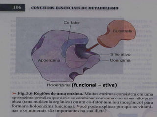 Fig. 5.6
(funcional – ativa)
 